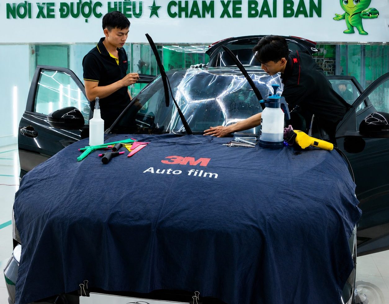 Sơn & Phục hồi